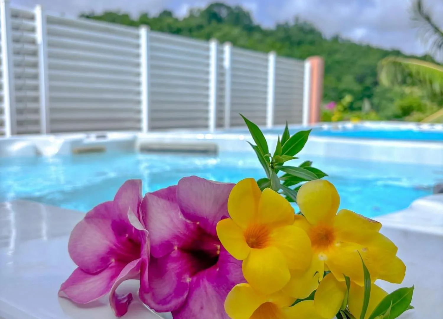 Ti Bwa La Villa West Indies Sainte-Luce Apartment